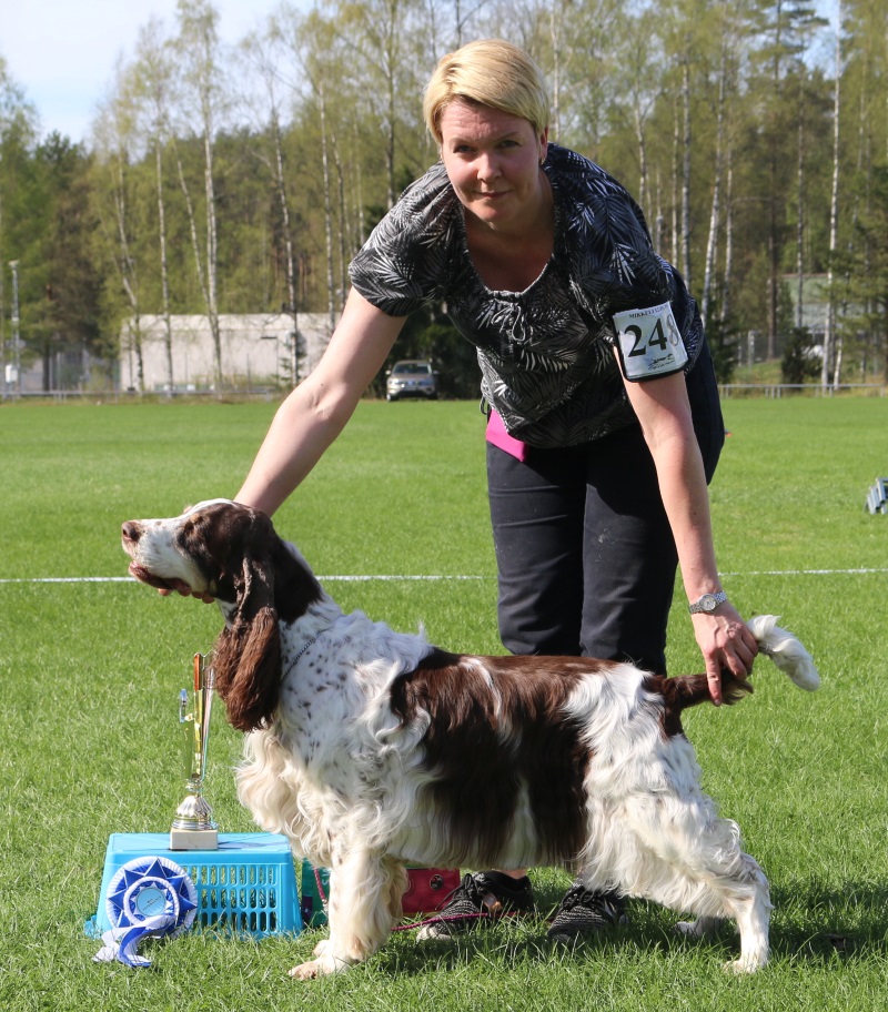 BIS_VET kuva