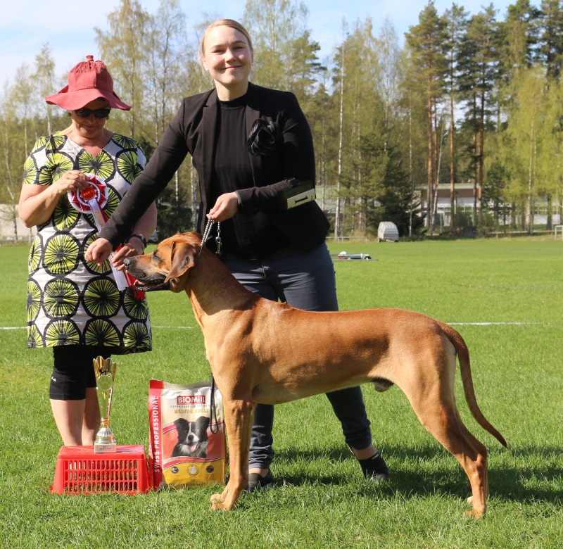 RYP-68 kuva